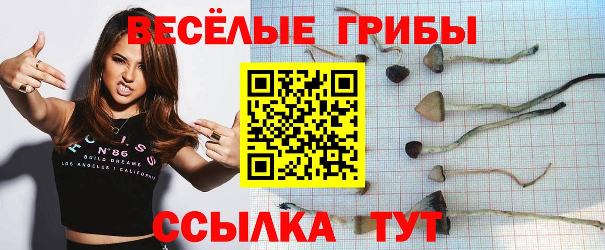 Гуково  Галлюциногенные грибы Psilocybe  Вход с VPN 