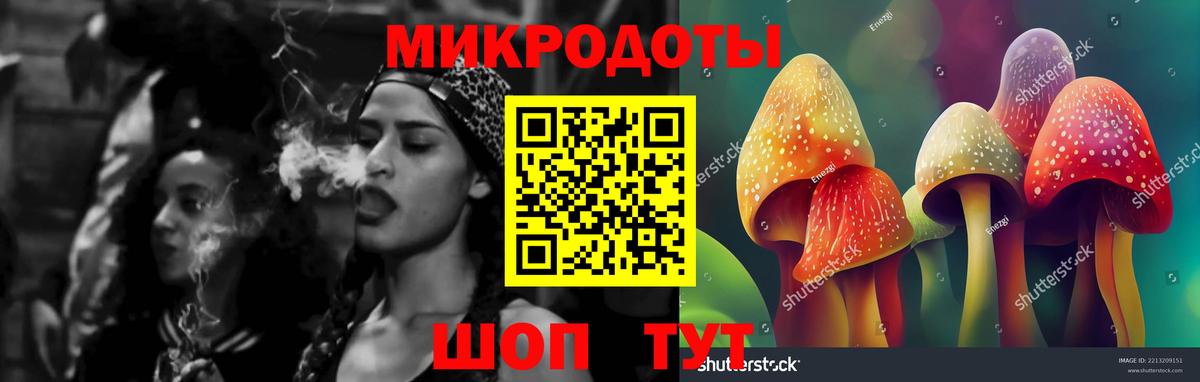 Галлюциногенные грибы MAGIC MUSHROOMS  Галлюциногенные грибы Cubensis  купить наркоту  Гуково 